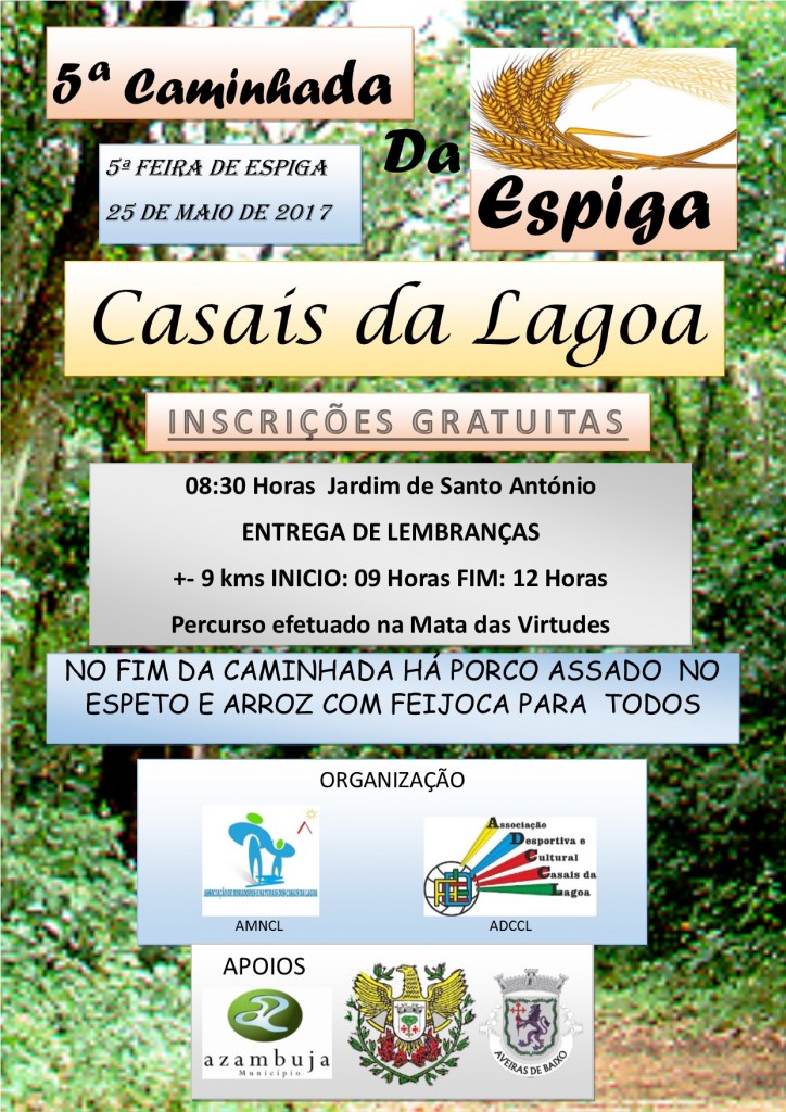 Cartaz 5ª Caminhada da Espiga