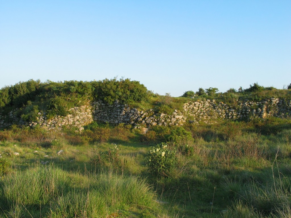 Castro - Vila Nova de São Pedro