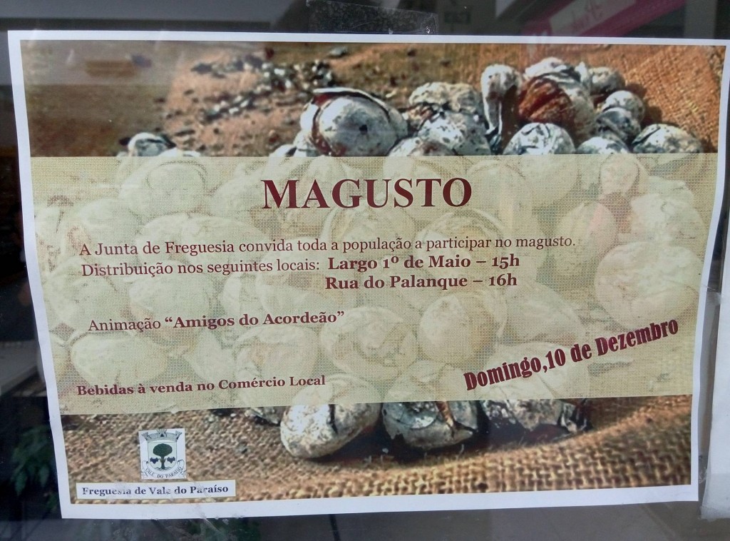 Cartaz "Magusto" de Vale do Paraíso