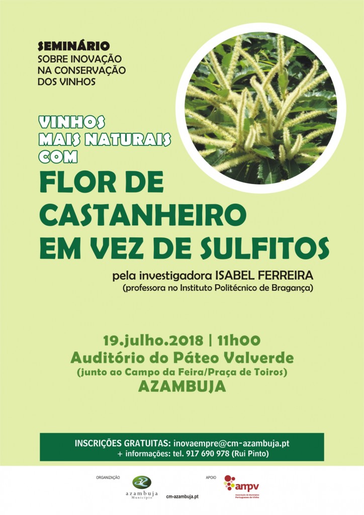 flor_castanheiro_Azambuja_cartaz_02