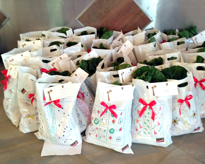 Munícipio e escuteiros solidários