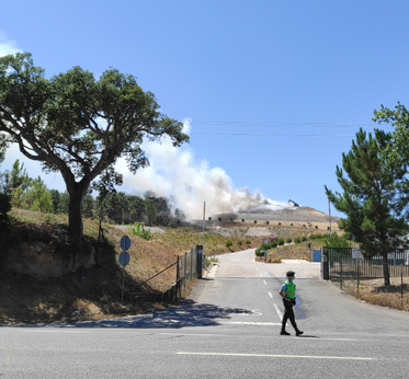 Foto Correio de Azambuja DR